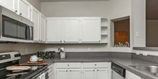 20211 Huebner Rd, #114 Gallery 8