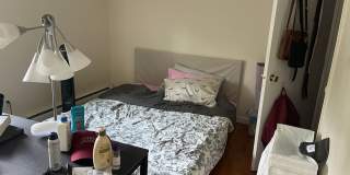 1-bed w/ Heat & Parking - Mt. Auburn (Watertown-Cambridge line) Gallery 5