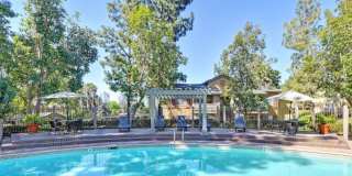 Elan Felicita Creek Gallery 1