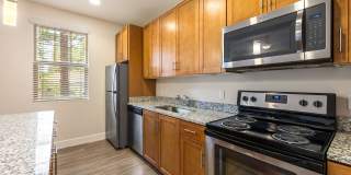 Mountain Trail Gallery 40