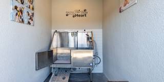 Pacific Bay Club Gallery 17