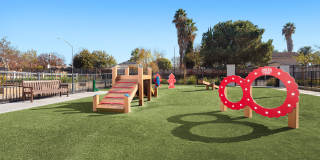 Harvest in Tracy Gallery 51