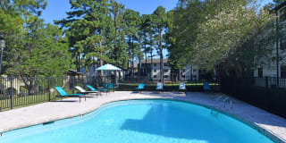 Branchwater Gallery 20