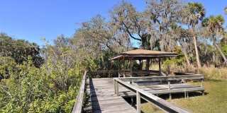 2746 ORCHID OAKS DRIVE Gallery 51