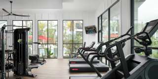 Aventon Soraya Gallery 25