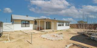 7648 Jimson Avenue Gallery 32
