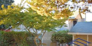 12225 SW Gingham Ln - B Gallery 3