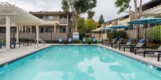 Sofi Dublin Gallery 12