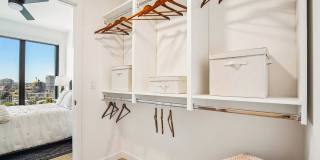 Olive Gallery 17