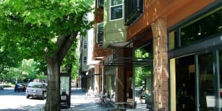 Sidney Sidney Gallery 2