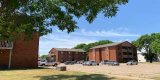 Pine Tree Flats Gallery 51