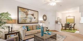 Spring Brook Gallery 4