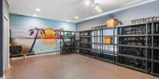 238 Walker Street Gallery 4