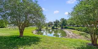 Serene 3 bed 2 bathroom in peaceful neighborhood Gallery 21