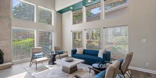 The Falls Gallery 19