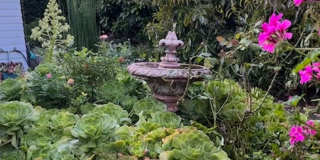 Fully Furnished Tranquil Downtown Home - Available Now! Fully Furnished Tranquil Downtown Home - Available Now! Gallery 24