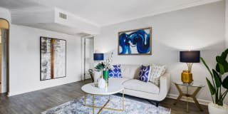 Allanza at the Lakes Gallery 33