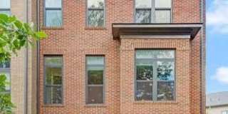 12258 SESSILE CMNS Gallery 5