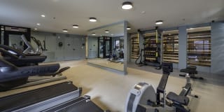 Arcade Sunshine Gallery 12