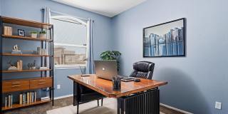 4917 Ruben Soto Gallery 9