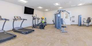 Polaris Peak Gallery 50