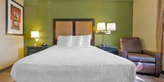 Stockton - March Lane Gallery 16