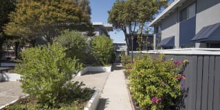 Monterey Townhouse Gallery 76