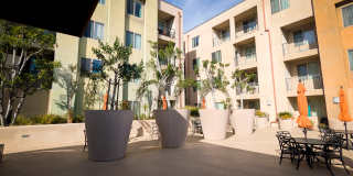 Burbank Senior Artists Colony - Senior Housing Gallery 2