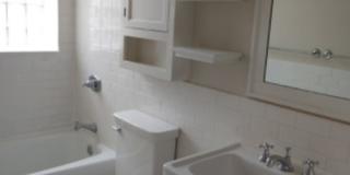 2704 W Ainslie St Gallery 6