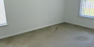 5014 Palm Drive Gallery 19