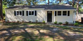 Beautiful home in DUNEDIN area of Chesapeake Gallery 1
