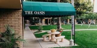 Oasis in the City Gallery 4