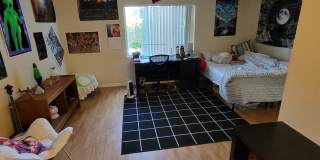 AUGUST 2026 SDSU AREA HOME - 4 bedrooms / 3 bath - With Big yard on Canyon! Gallery 28