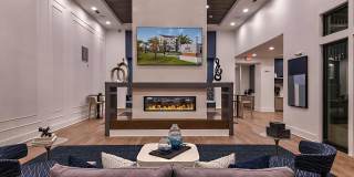 Grand Cypress Gallery 11