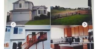 9294 Weeping Willow Place Gallery 4