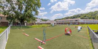 Emerald Gardens Gallery 24