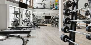 Troubadour Gallery 114