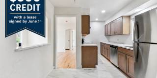 Stunning Single Family Home | 4BR/2BA | 1-Car Garage | Fenced backyard | $500 credit with a lease signed by June 1st! Gallery 1