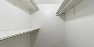 Royal Arms Gallery 13