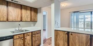 Rise Spring Pointe Gallery 123