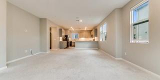 713 Daniel Freeman Circle Gallery 10