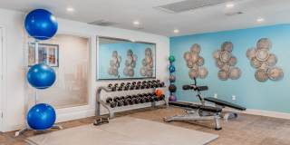 Amherst Gallery 22