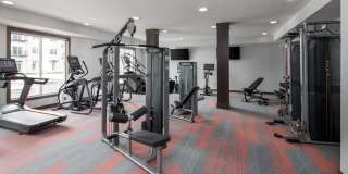 Edison at Woodbury Gallery 14