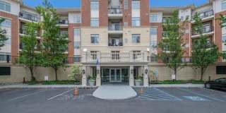 407 CARSON Terrace Gallery 1