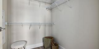 Hudson Carolina Forest Gallery 13