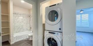 710 Shine St. Gallery 7