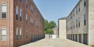 Thrive Argenta Gallery 14