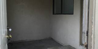 shas2228 Gallery 6