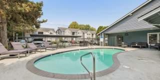 Avana Hamptons Gallery 15