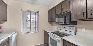Cozy 2 Bed 1.5 Bathroom in Temple Terrace Gallery 18